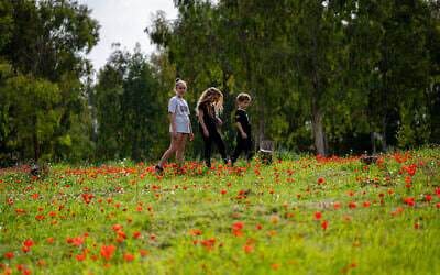 Visitors enjoy anemone season in southern Israel, February 2024 (Courtesy)