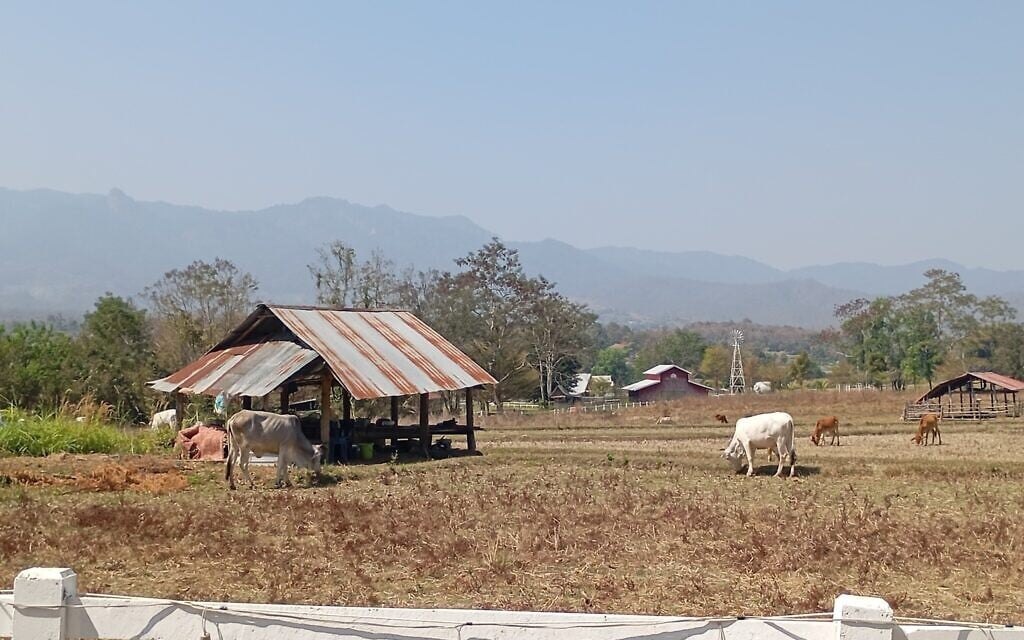 A photo of the local landscape in Pai, Thailand, February 2025. (Eliyahu Freedman)