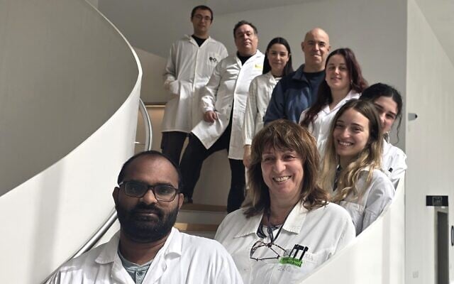 Prof. Dan Peer and research team at Tel Aviv University's Laboratory of Precision Nanomedicine. (Tel Aviv University) Prof. Dan Peer and research team at Tel Aviv University's Laboratory of Precision Nanomedicine. (Tel Aviv University)