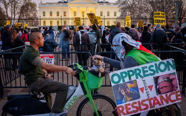 A protester, with a sign that employs the inverted red triangle used in Hamas propaganda to indicate a target, stops to pet a dog as demonstrators rally outside the White House, after Israel resumes airstrikes in Gaza amid its war against Hamas, on March 18, 2025. (Andrew Harnik / GETTY IMAGES NORTH AMERICA / Getty Images via AFP) A protester, with a sign that employs the inverted red triangle used in Hamas propaganda to indicate a target, stops to pet a dog as demonstrators rally outside the White House, after Israel resumes airstrikes in Gaza amid its war against Hamas, on March 18, 2025. (Andrew Harnik / GETTY IMAGES NORTH AMERICA / Getty Images via AFP)
