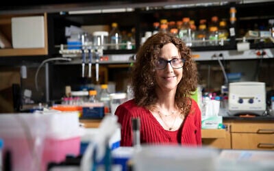 This image provided by the Wolf Foundation shows Pamela Björkman of the California Institute of Technology, who won this year's prestigious Wolf Award for her research into treating coronavirus and HIV. (Wolf Foundation via AP)