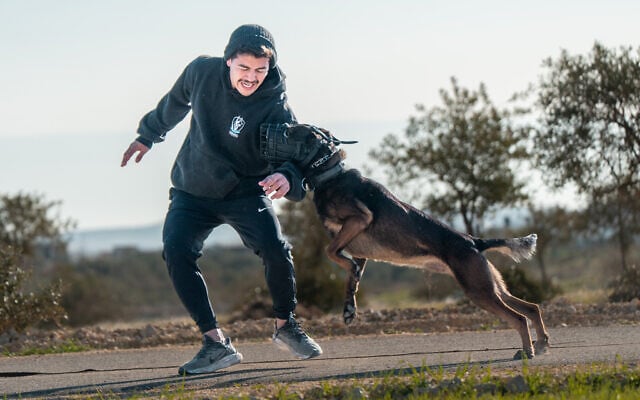 A trainer from Israel Protection K9 with one of the company's dogs. (Courtesy)