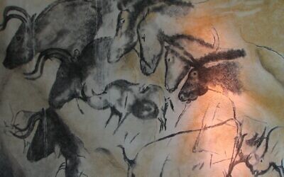 Replica of the painting from the Chauvet cave, in the Anthropos museum, Brno. (Wikipedia)
