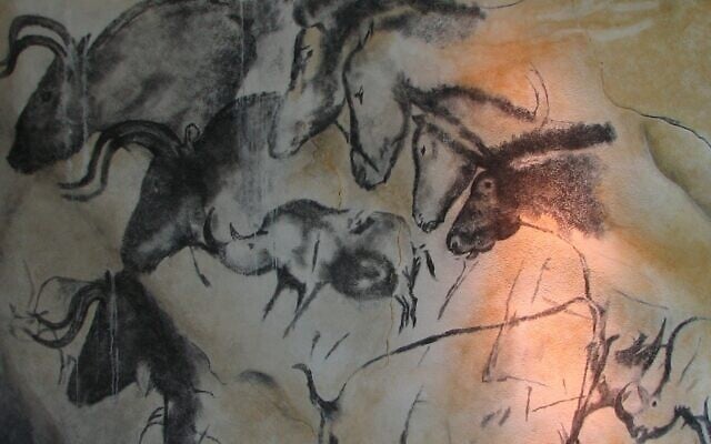 Replica of the painting from the Chauvet cave, in the Anthropos museum, Brno. (Wikipedia)