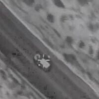 Footage of an Israeli strike on a Hezbollah commander in south Lebanon, March 27, 2025 (Israel Defense Forces)
