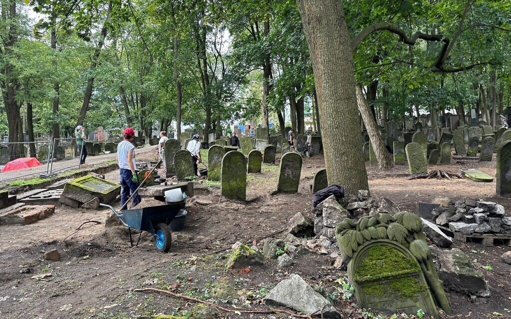 Polish archaeology students at work excavating a Jewish cemetery in Warsaw, September 2024. (Shira Li Bartov/ JTA) Polish archaeology students at work excavating a Jewish cemetery in Warsaw, September 2024. (Shira Li Bartov/ JTA)