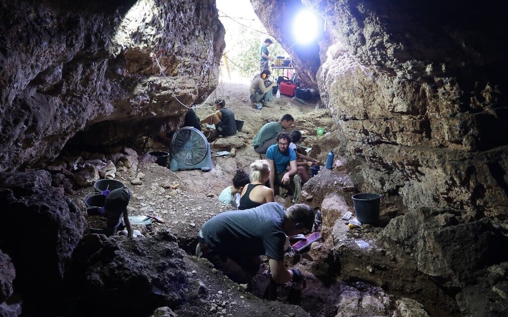 Tinshemet Cave, a Middle Paleolithic site in central Israel, during excavations. (Yossi Zaidner)