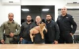 Beersheba police hold a lion cub rescued from the southern Bedouin village of Bir Hadaj on March 9, 2025. (Israel Police)