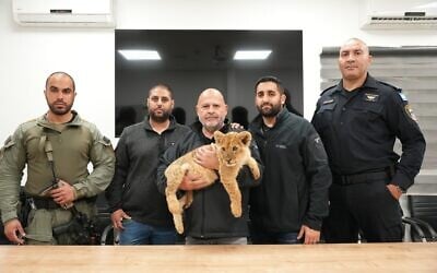 Beersheba police hold lion cub rescued from southern Bedouin village of Bir Hadaj on March 9, 2025. (Israel Police)