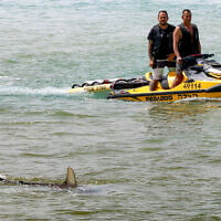 Teams continue to search on April 22, 2025, for a diver who was attacked by a shark off the coast of Hadera the previous day (Jack Guez/AFP)