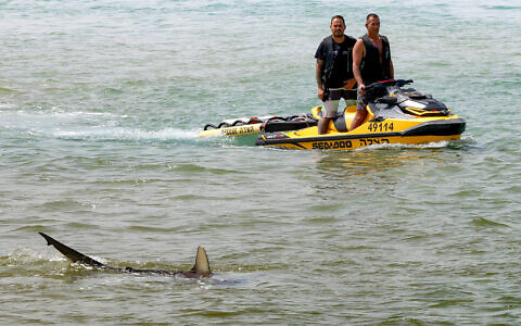 Teams continue to search on April 22, 2025, for a diver who was attacked by a shark off the coast of Hadera the previous day (Jack Guez/AFP)
