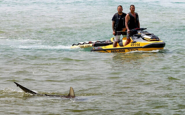 Teams continue to search on April 22, 2025, for a diver who was attacked by a shark off the coast of Hadera the previous day (Jack Guez/AFP)