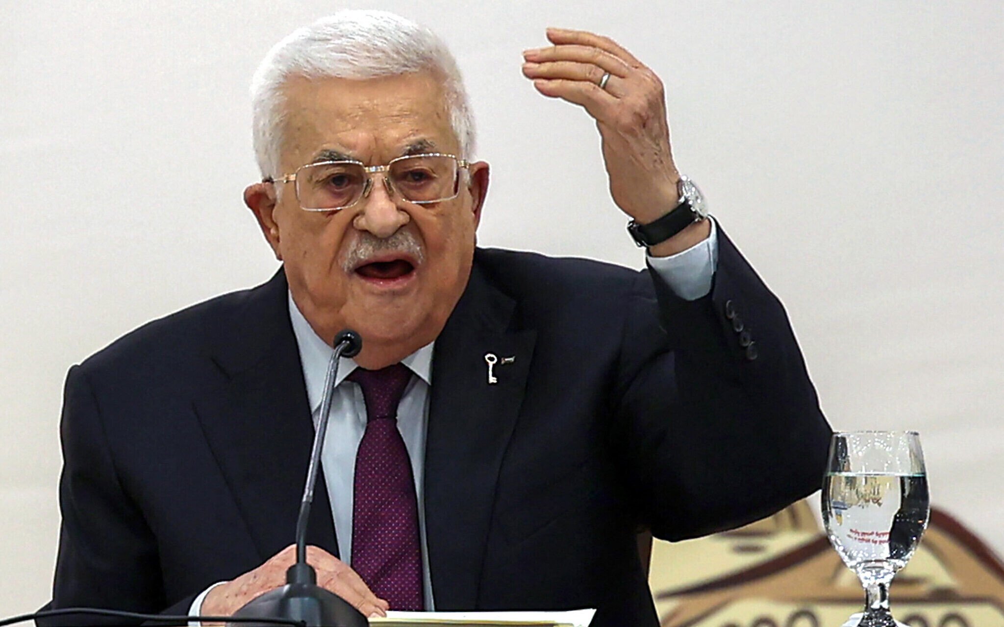 PLO Establishes Vice President Role Amid Leadership Transition
