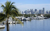 Skyline of downtown Miami is seen from Miami City Hall, Tuesday, Jan. 10, 2023. (AP/Lynne Sladky)