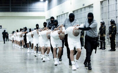 In this photo provided by El Salvador's presidential press office, prison guards transfer deportees from the US, alleged to be Venezuelan gang members, to the Terrorism Confinement Center in Tecoluca, El Salvador, Sunday, March 16, 2025. (El Salvador presidential press office via AP)