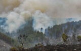 View of the damage caused from a large fire which broke out near moshav Ta'oz, April 23, 2025. (Avshalom Sassoni/Flash90)