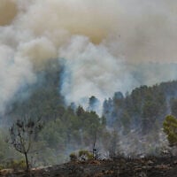 View of the damage caused from a large fire which broke out near moshav Ta'oz, April 23, 2025. (Avshalom Sassoni/Flash90)