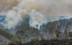 View of the damage caused from a large fire which broke out near moshav Ta'oz, April 23, 2025. (Avshalom Sassoni/Flash90)
