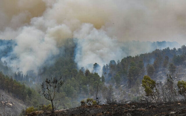 View of the damage caused from a large fire which broke out near moshav Ta'oz, April 23, 2025. (Avshalom Sassoni/Flash90)