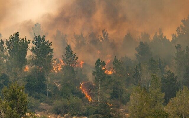 Firefighters try to extinguish a fire which broke out near Moshav Eshtaol, April 23, 2025. (Chaim Goldberg/Flash90)
