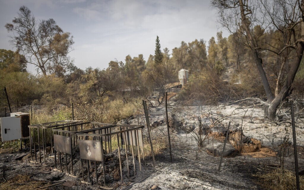 Damage following a major fire near Beit Shemesh, April 24, 2025. (Chaim Goldberg/Flash90)