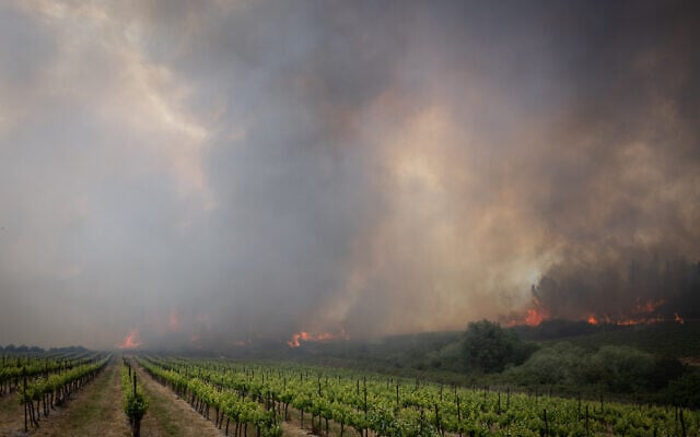 Firefighters try to extinguish a fire which broke out near Moshav Mesilat Zion, April 30, 2025. (Noam Revkin Fenton/Flash90)
