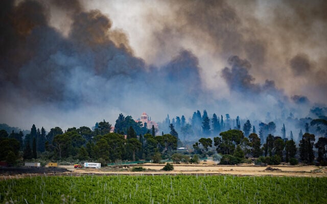 View of a massive wildfire near Latrun, April 30, 2025 (Oren Ben Hakoon/Flash90)