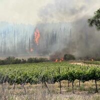 Fires rage in the Jerusalem hills on April 30 2025 (Fire and Rescue Service)
