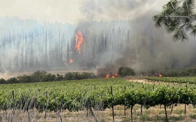 Fires rage in the Jerusalem hills on April 30 2025 (Fire and Rescue Service)