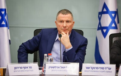 MK Yuli Edelstein chairs a meeting of the Knesset Foreign Affairs and Defense Committee, April 23, 2025. (Noam Moskowitz, Office of the Knesset Spokesperson)