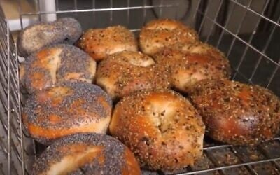 Some of Starship Bagel's award-winning fare. (Screenshot/YouTube)