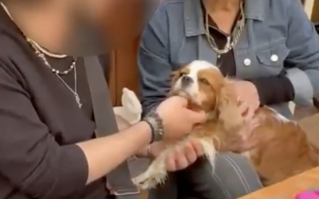 Billy (C), a Cavalier King Charles Spaniel who was abducted from Kibbutz Nir Oz during the October 7, 2023 Hamas attack, enjoys having her chin stroked by the IDF soldier who found her in southern Gaza's Rafah, while she's held by Rachel Dancyg, her owner, upon their reunion in Nir Oz, on April 16, 2025.