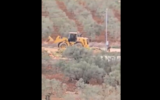 Screenshot of footage posted by Yesh Din showing settlers using a bulldozer to set up an illegal outpost near Turmusaya, West Bank, April 18, 2025. (Yesh Din English / X)