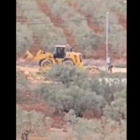 Screenshot of footage posted by Yesh Din showing settlers using a bulldozer to set up an illegal outpost near Turmusaya, West Bank, April 18, 2025. (Yesh Din English / X)