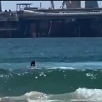 A swimmer is attacked by a shark off the coast of Hadera on April 21, 2025. (Screen capture/X)