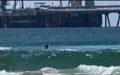 A swimmer is attacked by a shark off the coast of Hadera on April 21, 2025. (Screen capture/X)