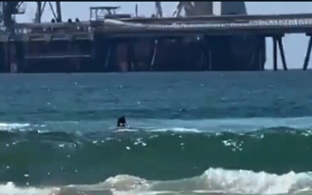 A swimmer is attacked by a shark off the coast of Hadera on April 21, 2025. (Screen capture/X)