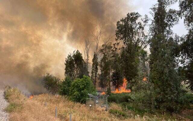 A forest fire in central Israel on April 23, 2025 (Fire and Rescue Services)