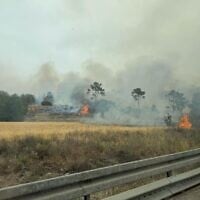 A forest fire close to Moshav Tarum on April 23, 2025 (Fire and Rescue Services)