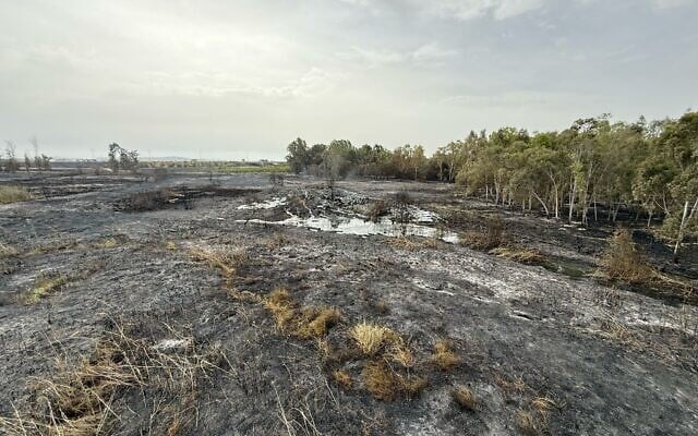 Givaton Springs Nature Reserve damaged by wildfire, in an undated photo (Gezer Regional Authority)