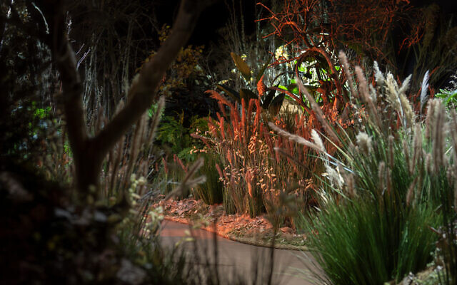 From 'The Garden' at the Tel Aviv Museum of Art by Yael Moria Studio MA (Credit Daniel Henoch)