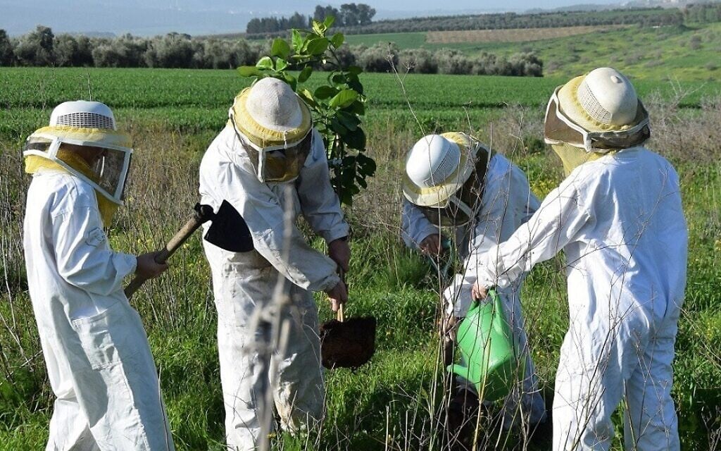 From Bees to Agrivoltaics: How KKL-JNF Supports Israel’s Food Security