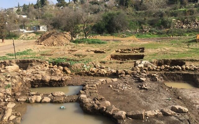 Remains of a large Neolithic settlement on alluvial soil in the Motza Valley near Jerusalem. (Amos Frumkin)
