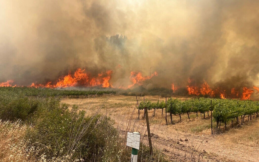 Fighting Flames, Saving Lives: Support KKL-JNF Firefighters