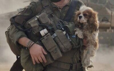 Billy the spaniel is held by an Israeli soldier in Gaza, April 2025 (Social media)