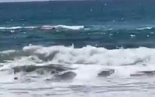 A diver is attacked by a shark off the coast of Hadera on April 21, 2025. (Screen capture/X)
