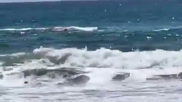 Search resumes for missing swimmer after shark attack near Hadera, Israel
