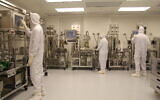 Pluri employees at the Israeli biotech firm's cell therapy production facility in Haifa. (Courtesy/Michael Brikman)
