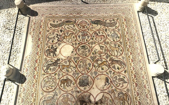 A 1,600-year-old mosaic discovered in a Byzantine monastery is on display for the first time at Merhavim Regional Council’s headquarters in Western Negev, the Israel Antiquities Authority announced on May 27, 2025. (Emil Aladjem/Israel Antiquities Authority)