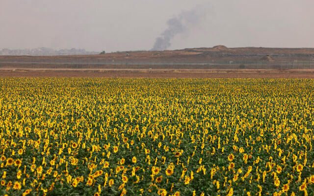 This picture taken from a position in southern Israel on the border with the Gaza Strip shows smoke in Gaza during Israeli strikes on May 18, 2025 This picture taken from a position in southern Israel on the border with the Gaza Strip shows smoke in Gaza during Israeli strikes on May 18, 2025